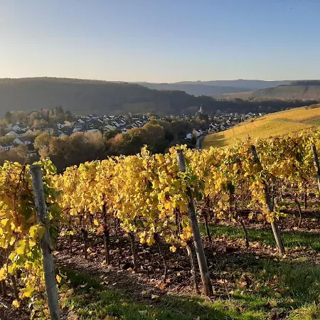 Burgzauber Wiltingen