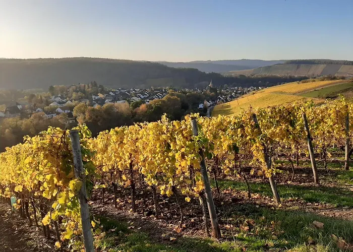 Burgzauber 윌팅겐