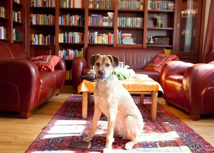 Burgzauber * Wiltingen